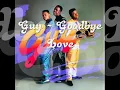 Guy - Goodbye Love