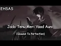 Jado Tenu Meri Yaad Auni (Slowed + Reverb) | EHSAS | Latest Punjabi TikTok Trending Sad Songs 😭💔
