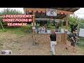 CHERRY PICKING IN KELOWNA BC CANADA