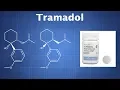 Tramadol What You Need To Know