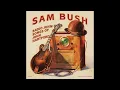 Sam Bush - "In Tall Buildings" (Official Audio)