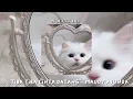 Download Lagu Playlist [speed up] bikin salting (?)