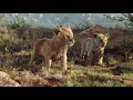 Lion King 2019 - I just can't wait to be king (Japanese)