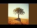 Download Lagu Bintang yang Jatuh di Dadamu