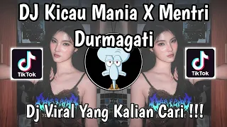 dj kicau mania x mentri durmagati party velocity full bass viral tiktok terbaru 2026
