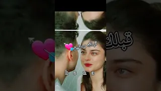 مصطفى كامل حبيب العمر حالات واتس 