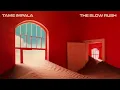 Tame Impala - Borderline (Official Audio)