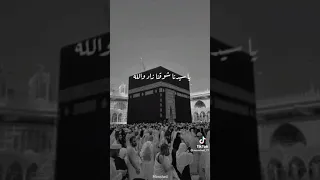 دانا زاد في قلبي حنين    دندنها