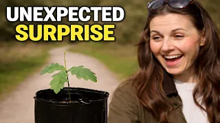 We Almost Threw These Away… Now Look