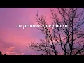 Banda Los Recoditos - Pistearé (Letra)