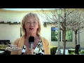 Michelle s Bakery - Taste of the World Sponsor 2016