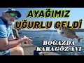 Download Lagu Boğazda Nasibimizi Aradık / Kıyıdan Karagöz Avı