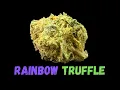 Rainbow Truffle Strain Review