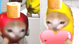 Golden toilet paper｜Bananacat🍌
