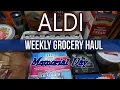 ALDI MEMORIAL DAY WEEKEND GROCERY HAUL 2022