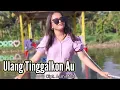 Download Lagu Dangdut Mandaling Tapsel musik terbaru | Ulang Tinggalkon Au | versi Musik Wakatobi - Setty Official
