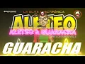 MIX GUARACHA & ALETEO 2025 (LOS DUROS) VOL 2 🔥 (Aleteo-Zapateo-Guaracha)