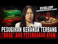 Lagu 7 TUMBAL JATUH, WARGA DESA RESAH KERANDA TERBANG NYARI MANGSA !! PESUGIHAN LAMPOR PETERNAKAN AYAM