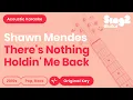Download Lagu Shawn Mendes - There's Nothing Holdin' Me Back (Karaoke Acoustic)