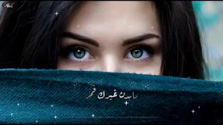 وائل كفوري   يا أميرة كل النجمات دندنها