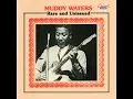 Feel Like Goin' Home (feat. Sunnyland Slim) - Muddy Waters