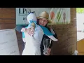 2026 ShopRite LPGA powered by Wakefern HIGHLIGHT