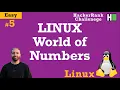 5 LINUX World of Numbers Hackerrank LINUX Full Tutorial