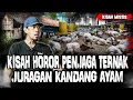 Download Lagu KISAH HOROR PENJAGA KANDANG AYAM!! PETAKA KUBURAN DI GUSUR JADI KANDANG!!!