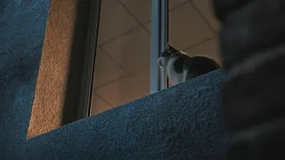 ق ال إ ن م ا أ ش ك و ب ث ي و ح ز ن ي إ ل ى الل ه 