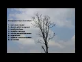 Download Lagu kumpulan lagu misteri ilahi 2 (lagu nostalgia sinetron indosiar)