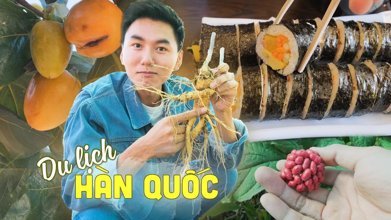 🇰🇷Du lịch ẩm thực Hàn Quốc #:1 Về quê đào và ăn nhân sâm