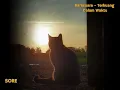 Download Lagu Barasuara - terbuang dalam waktu 1jam 30. cat x sunset