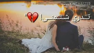 أحب ك ت دري ش تمن ى   سيف نبيل   مع الكلم  ات دندنها
