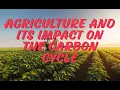 The impact of agriculture on the carbon cycle