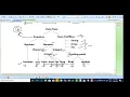 Lecture 6 Data Types in Java in Hindi