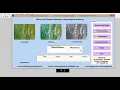 Maize Leaf Disease Detection Using Image Processing Matlab Project Code
