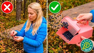 Smart Garden Gadgets for a Bigger, Lusher Harvest by 5-Minute DECOR! 🍓🌻