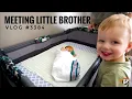 Download Lagu MEETING LITTLE BROTHER | TJV | Vlog #3384