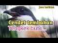 Lagu CENDET ISIAN TENGKEK BUTO