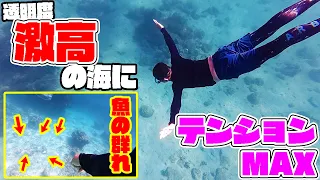 細い道を抜けた先に離島の穴場スポットが！？