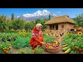 IRAN Daily Village Life Rural Cooking in the High Mountains of Northern Iran