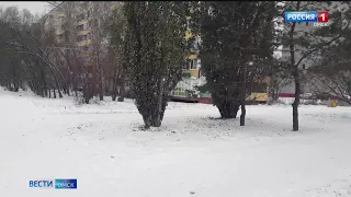 В Омске убрали шинную свалку на Заречном бульваре