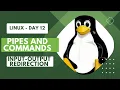 Linux Advanced - Input Output Redirection and Piping Devops Bootcamp