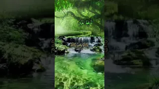 سورة مريم عبدالباسط عبدالصمد أ ل ا ت ح ز ن ي ق د ج ع ل ر ب ك ت ح ت ك س ر ي ا 