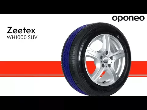 Miniatura filmu