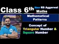 Concept of Triangular Numbers and Square Numbers Relation Explained Simply