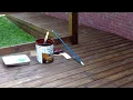 Thompsons Timber oil deck stain review