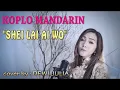 Lagu MANDARIN KOPLO TERPOPULER _ SHEI LAI AI WO _ DEWI JULIA