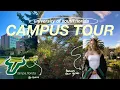 university of south florida campus tour caitlin s version