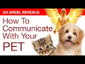 Download Lagu HOW TO COMMUNICATE WITH YOUR PET/Animal Communication by Hans Wilhelm